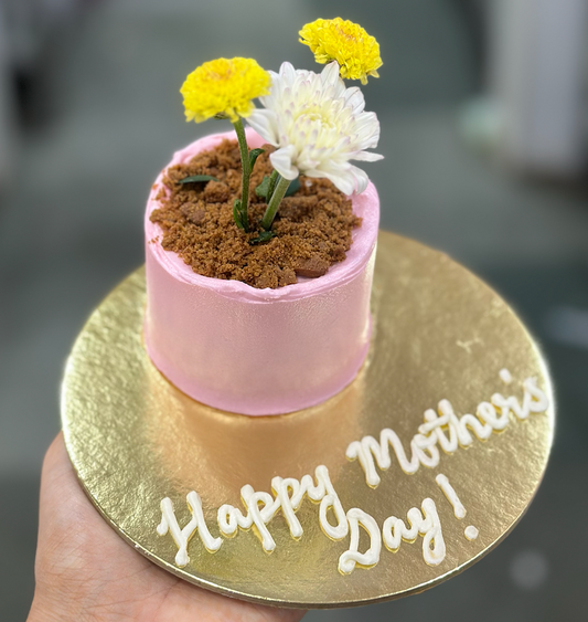 Pink Micro Flowerpot Cake