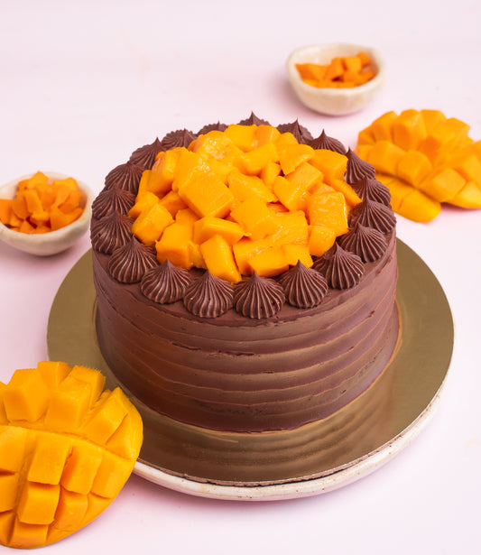 Mango & Belgian Chocolate Cake