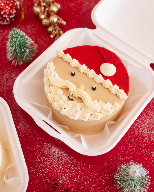 Santa Claus Lunchbox Cake